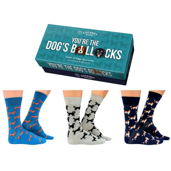 Socks: You're the Dogs Bollocks